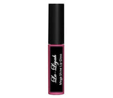 Mega Shine Lip Gloss