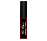 Mega Shine Lip Gloss